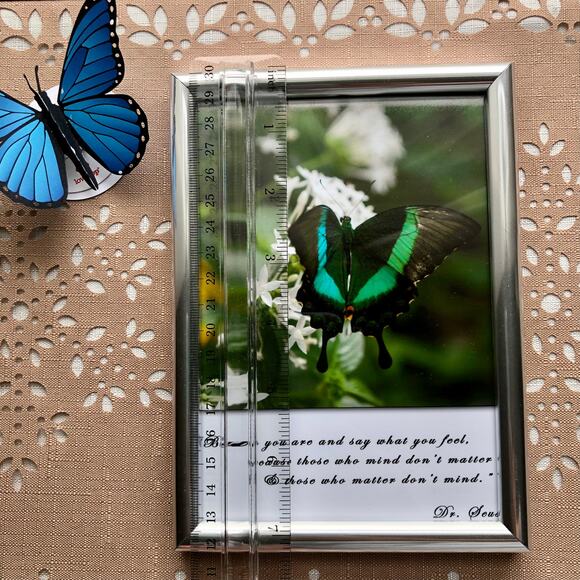 NEW Framed Butterfly on Jasmine Flower Print with Dr. Seuss Quote - Picture 8 of 8